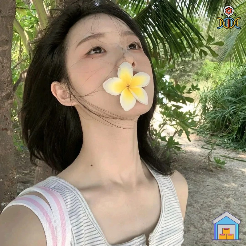 晚安账号